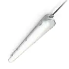 Philips LED Feuchtraumleuchte CoreLine WT120C G2 29W 4000lm - 840 Kaltweiß | 120cm 